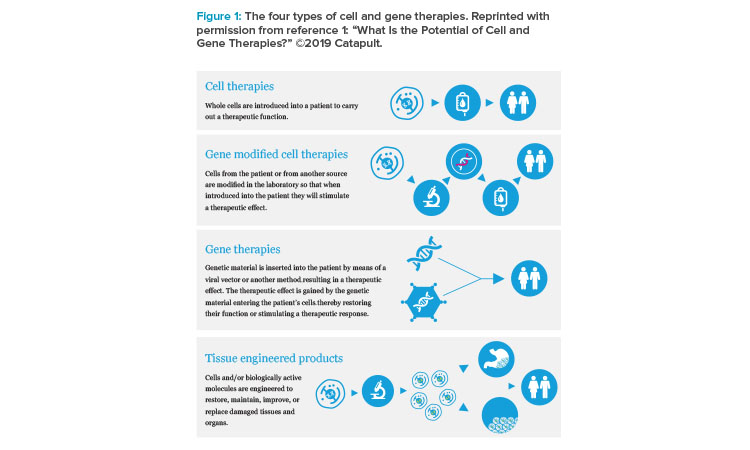 The four types of cell and gene therapies