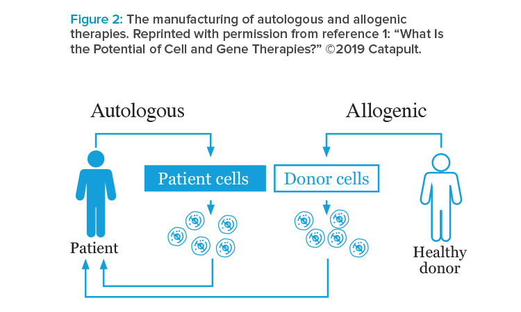 The manufacturing of autologous and allogeneic therapies