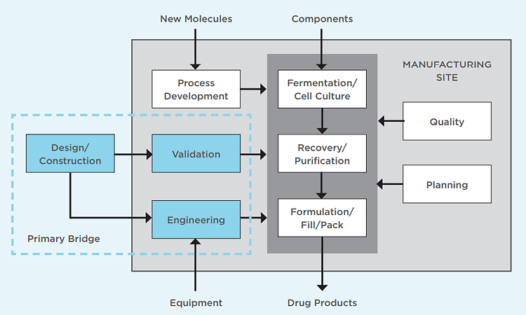 Figure 2: Primary bridges to biomanufacturing - ISPE Pharmaceutical Engineering