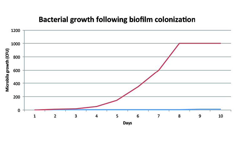Microbial numbers in a water system rise exponentially following biofilm formation