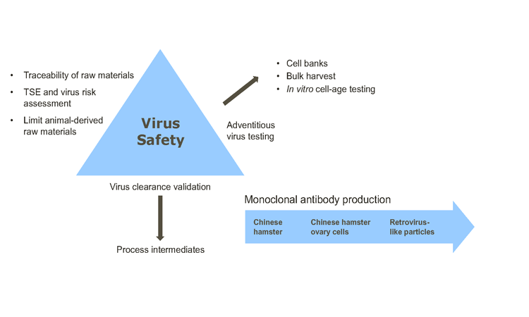 Figure 1: The Virus Safety Triangle 