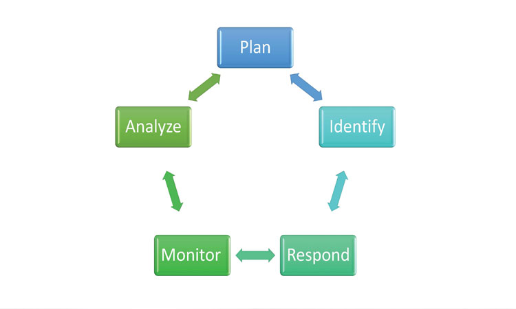 Figure 2: Risk-Management Process