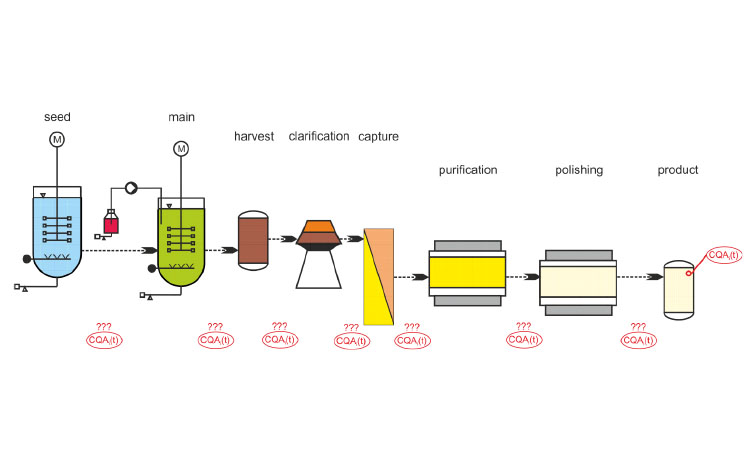 Schematic diagram of a batch process