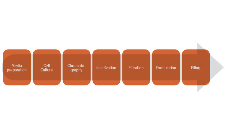 Figure 7: Typical process flow