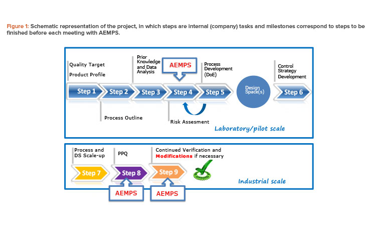 Schematic representation of the project