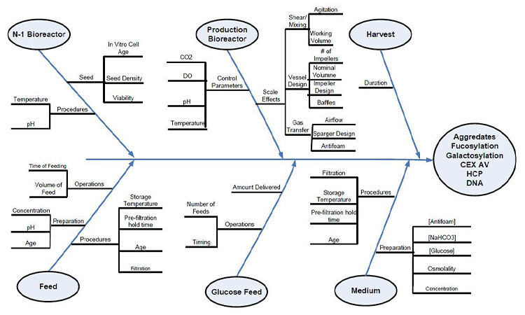 pharmaceutical ishikawa diagram