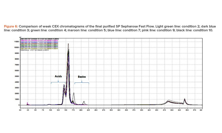 Figure 6: Comparison of weak CEX chromatograms of the final purified SP Sepharose Fast Flow.