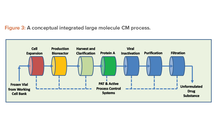 Figure 3: A conceptual integrated large molecule CM process.