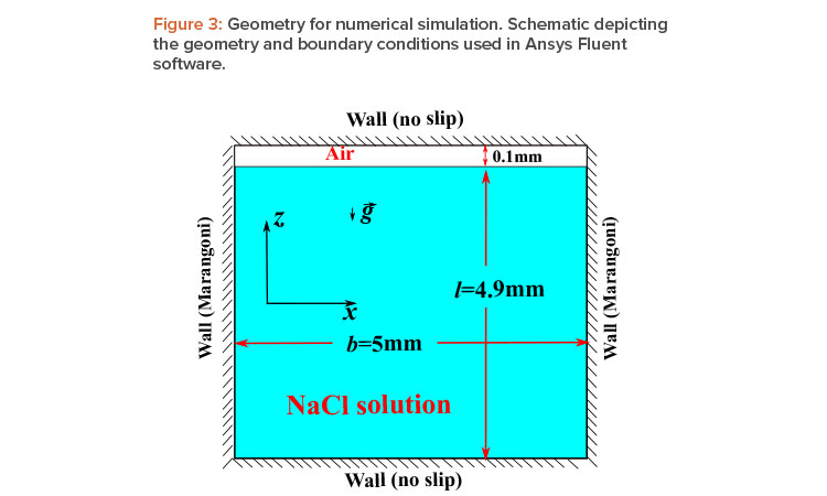 Figure 3: Geometry for numerical simulation. Schematic depicting the geometry and boundary conditions used in Ansys Fluent software.