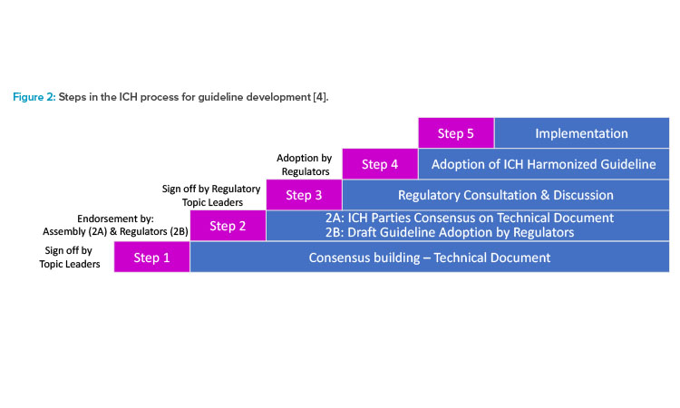 Figure 2: Steps in the ICH process for guideline development [4].