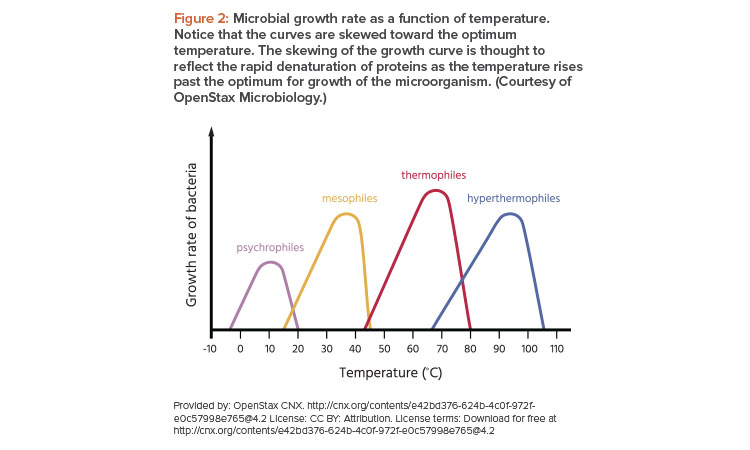 Figure 2: Microbial growth rate as a function of temperature.