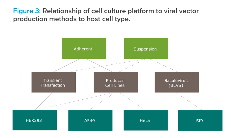 Figure 3: Relationship of cell culture platform to viral vector production methods to host cell type.
