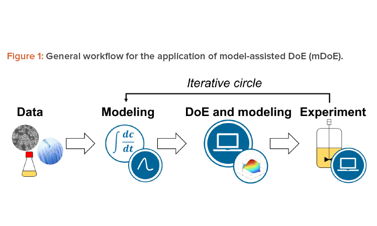 Figure 1: General workflow for the application of model-assisted DoE (mDoE).