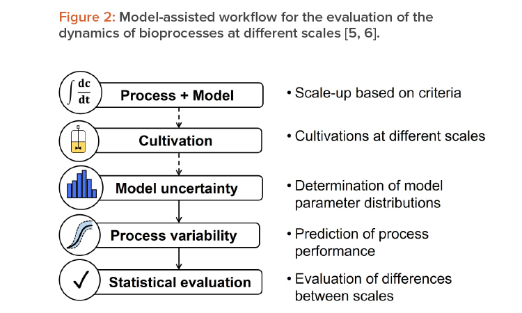 Figure 2: Model-assisted workfl ow for the evaluation of the dynamics of bioprocesses at di erent scales [5, 6].