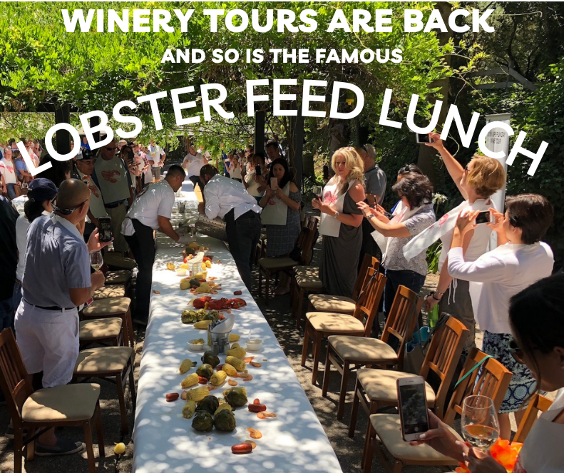 Lobster Lunch Photo