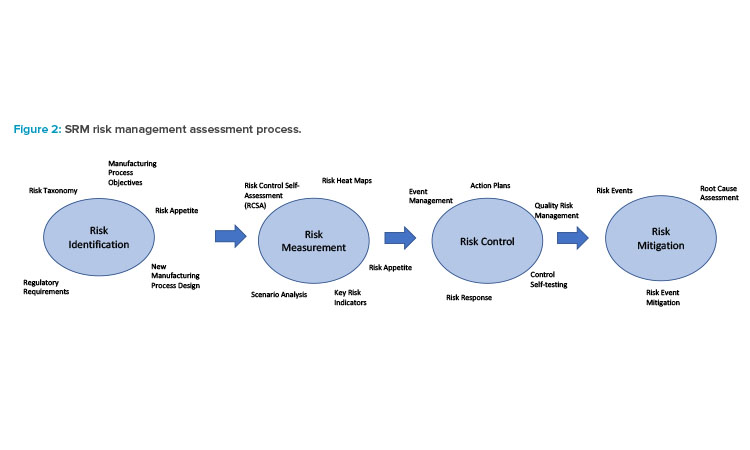 Figure 2: SRM risk management assessment process.