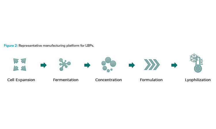 Figure 2: Representative manufacturing platform for LBPs.
