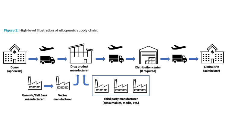 Figure 2: High-level illustration of allogeneic supply chain.