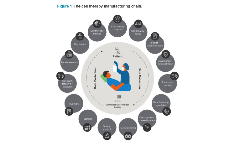 Figure 1: The cell therapy manufacturing chain.