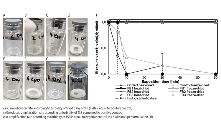 Figure 1.4