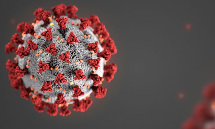 COVID-19 virus