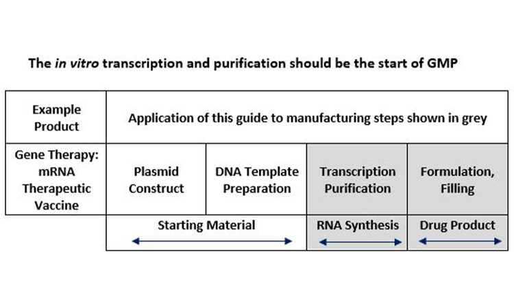 The start of GMP in the manufacture of mRNA therapeutics