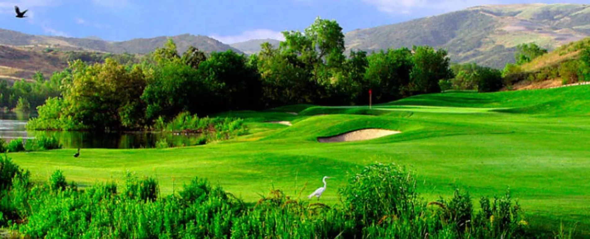  Golf Tournament at Strawberry Farms Golf Club in Irvine