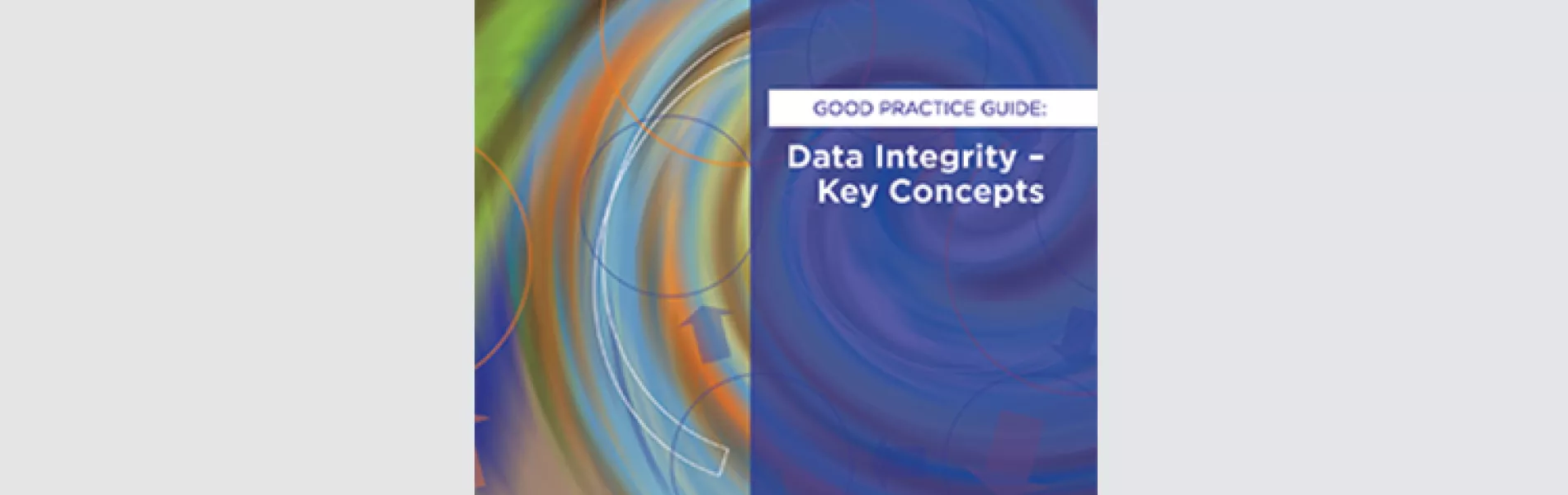 Why is Data Integrity an Essential Part of the Pharma Industry?