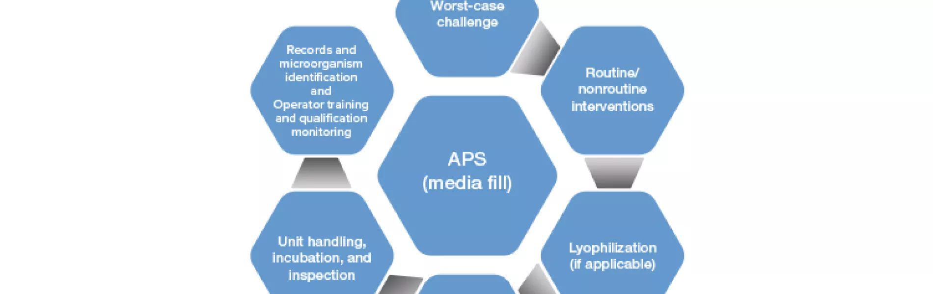 Figure 1: Points to consider when designing the media fill study.