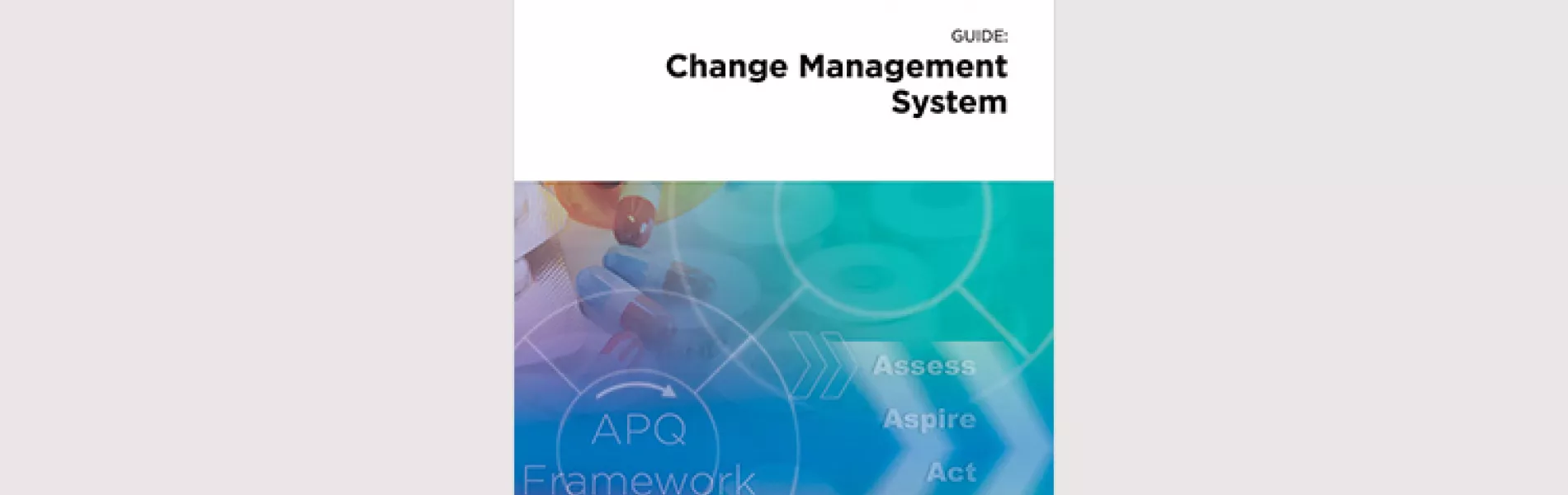 APQ Guide: Change Management (CM) System