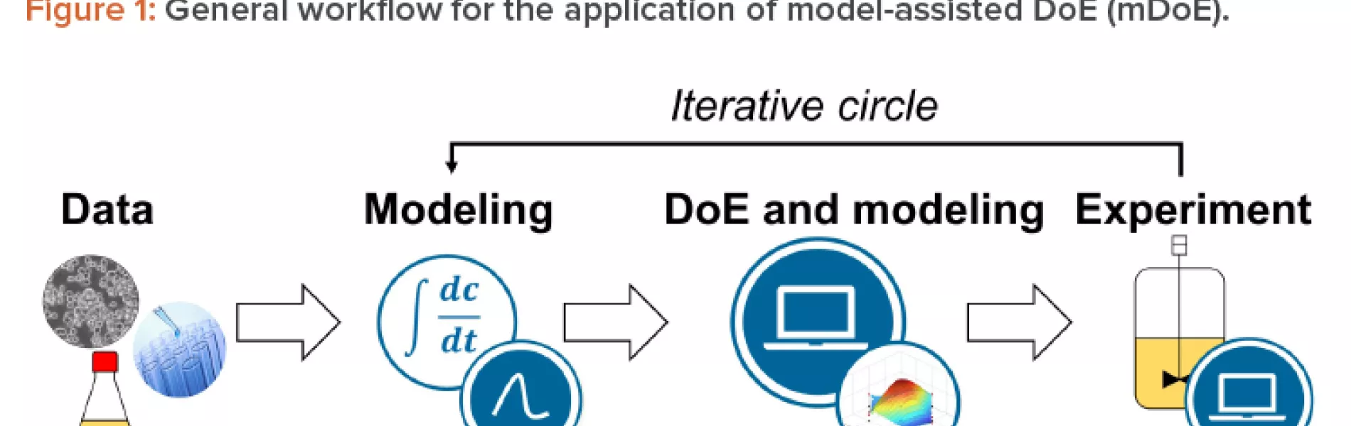 Figure 1: General workfl ow for the application of model-assisted DoE (mDoE).