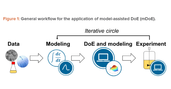 experimental study and mathematical modelling