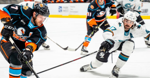 San Diego Gulls (IHL), Pro Sports Teams Wiki