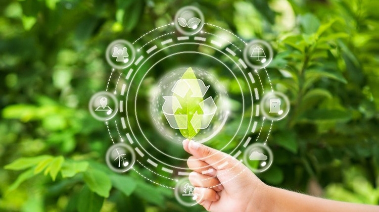 Approaching Sustainability: Progress Toward Carbon-Neutrality in Life Sciences