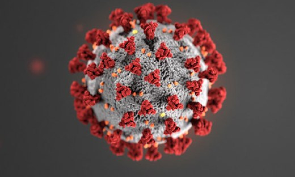 graphical representation of the Corona Virus (COVID-19)