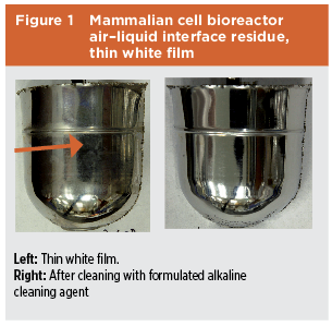 Figure 1: Mammalian Cell Bioreactor Air-Liquid Interface Residue, Thin White Film