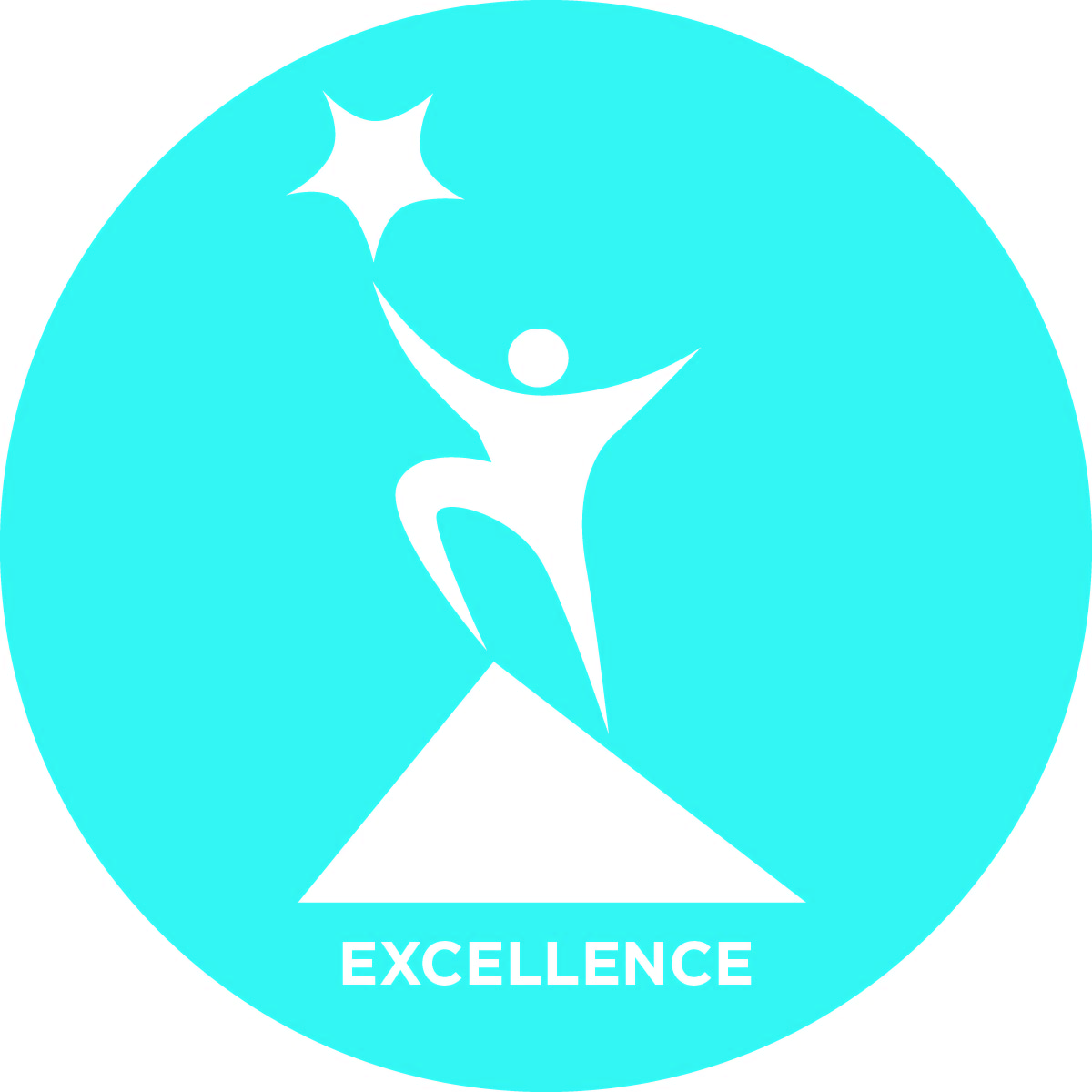 ISPE Core Values - Professional Excellence